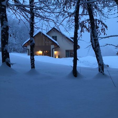 Loft Naturalpina Dolomiti Farm Belluno Dış mekan fotoğraf
