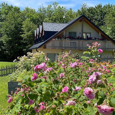 Loft Naturalpina Dolomiti Farm Daire Belluno Dış mekan fotoğraf