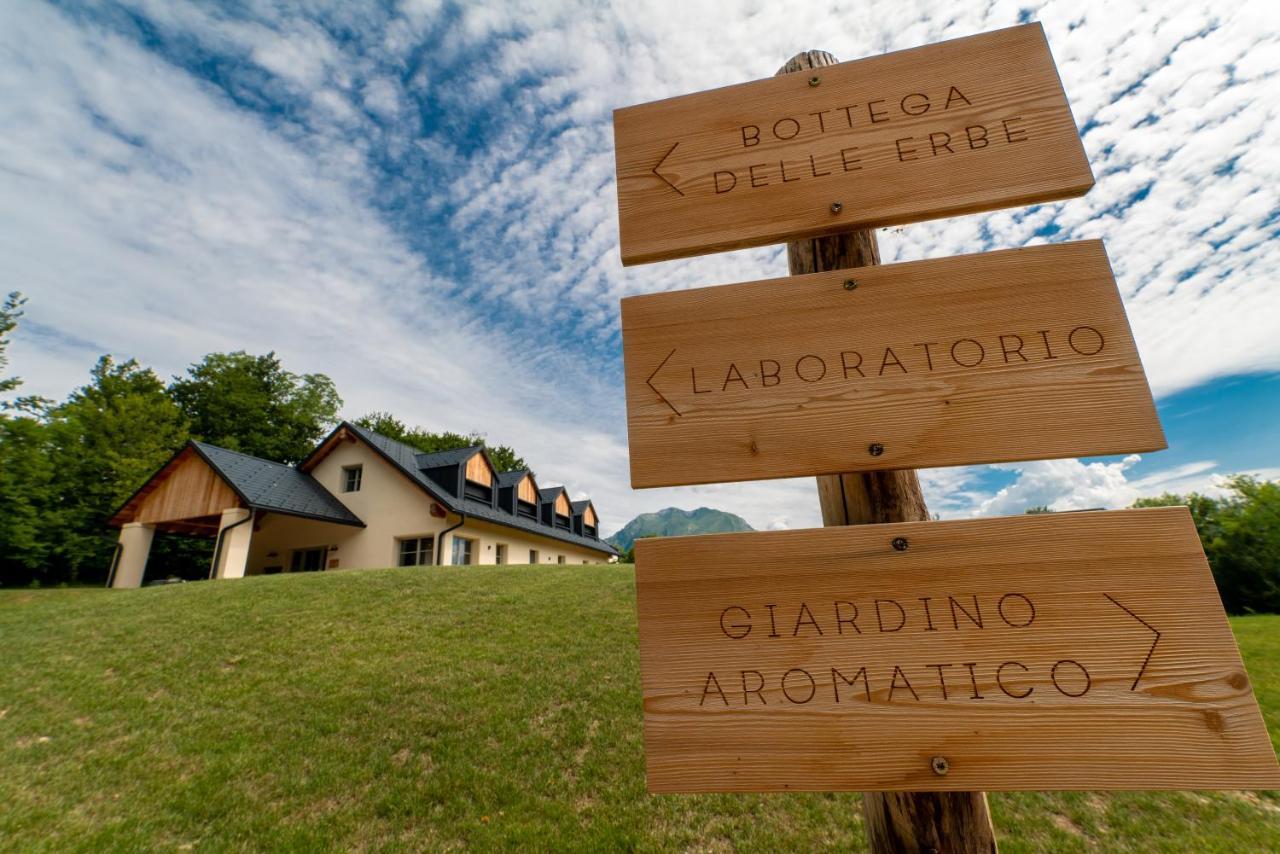 Loft Naturalpina Dolomiti Farm Belluno Dış mekan fotoğraf