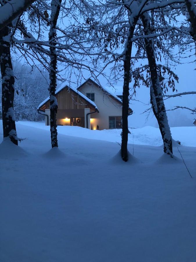 Loft Naturalpina Dolomiti Farm Belluno Dış mekan fotoğraf