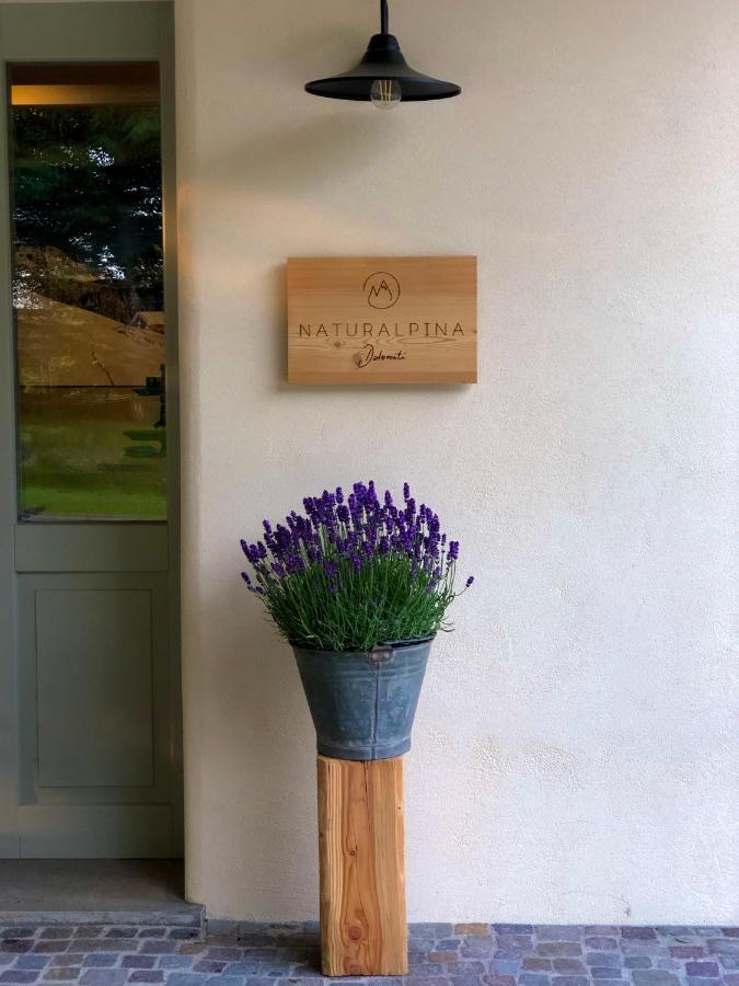 Loft Naturalpina Dolomiti Farm Belluno Dış mekan fotoğraf