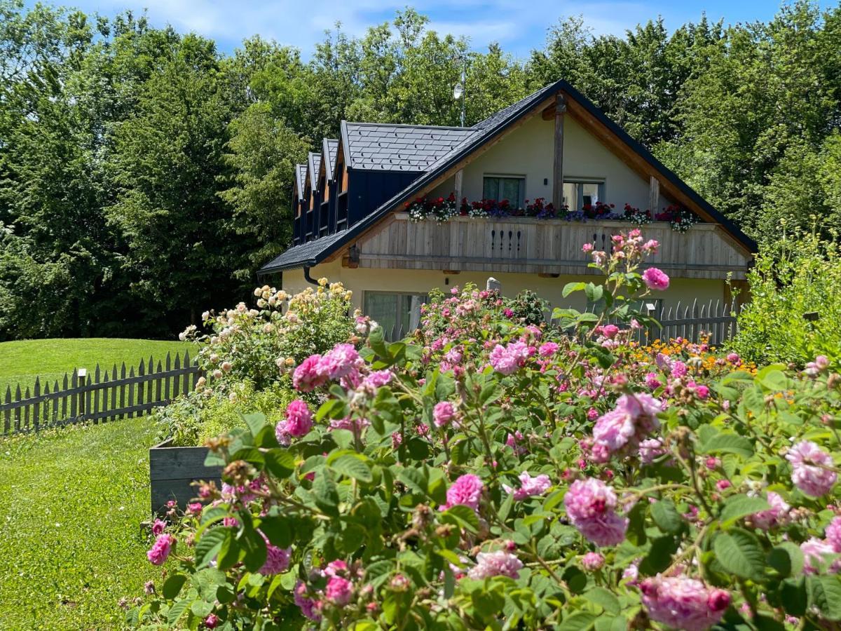 Loft Naturalpina Dolomiti Farm Daire Belluno Dış mekan fotoğraf