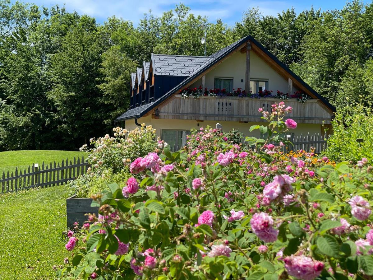 Loft Naturalpina Dolomiti Farm Belluno Dış mekan fotoğraf